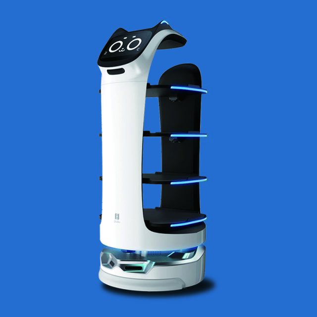 PUDUロボット